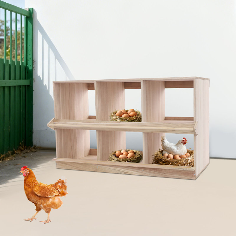 Ophelia & Co. 6 Hole Wood Nesting Box For Chickens | Wayfair